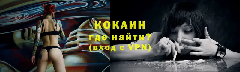 Купить наркотик Каменногорск Гашиш  Cocaine  Меф  A-PVP  MEGA онион  Конопля 